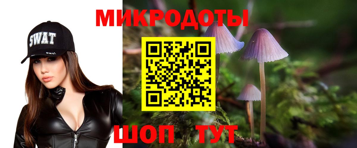 Галлюциногенные грибы Psilocybine cubensis Аша
