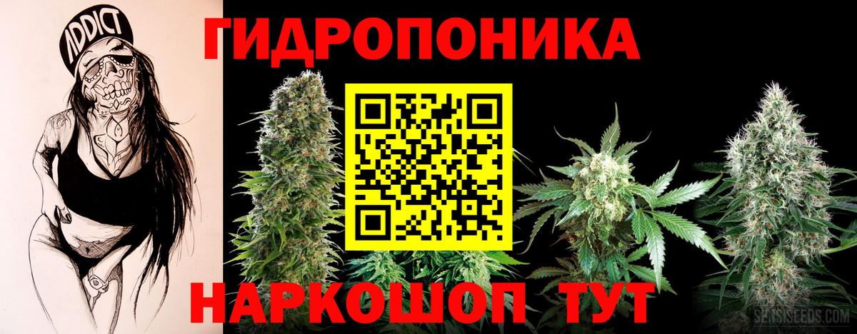 Бошки марихуана Amnesia Аша